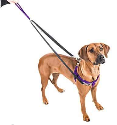 2 Hounds Design Freedom No Pull Nylon Dog Harness & Leash | Chewy