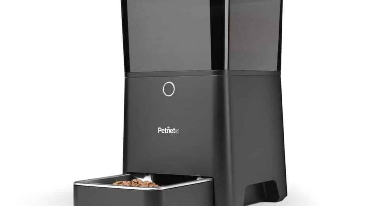 The 6 Best Automatic Dog Feeders