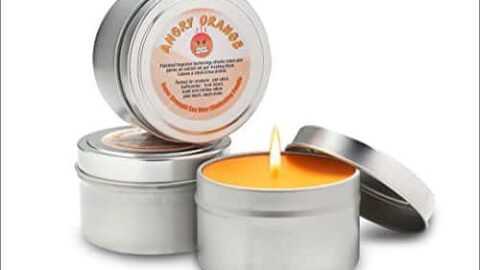 The Best Odor Eliminating Candles for Pet Odors