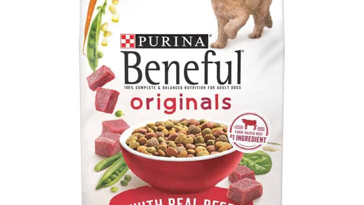 Purina Beneful Originals Real Beef Dry Dog Food Review