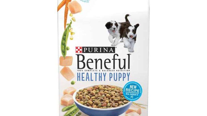 Beneful Healthy Puppy Food Review