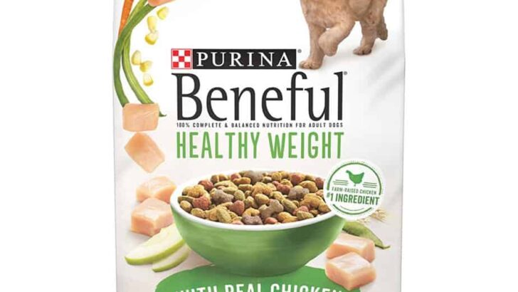 Beneful Healthy Weight Food Review