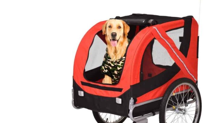 Best Dog Bike Carriers