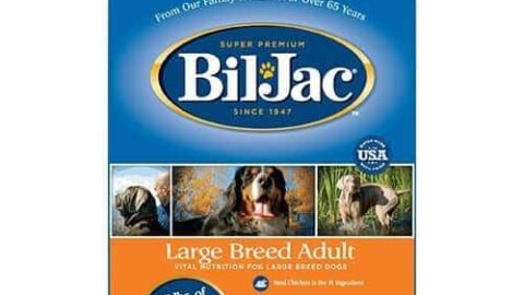 Bil Jac Large Breed Dry Dog Food Review