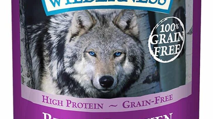 Blue Buffalo Wilderness Grain-Free Canned Dog Food Review