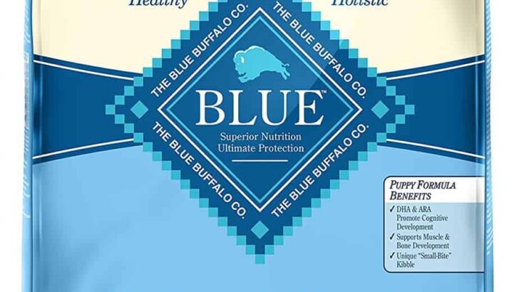 Blue Buffalo Puppy Food Review