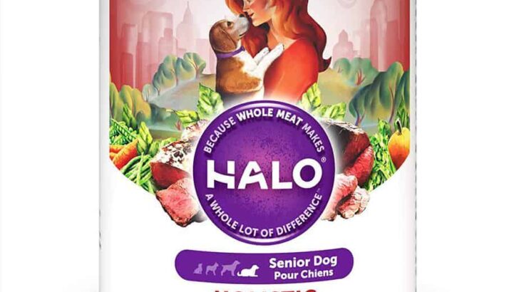 Halo Holistic Beef Recipe Senior Canned Dog Food