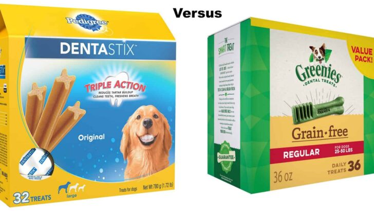 Dentastix vs Greenies Review: Compare Which Dental Chew To Get Your Dog