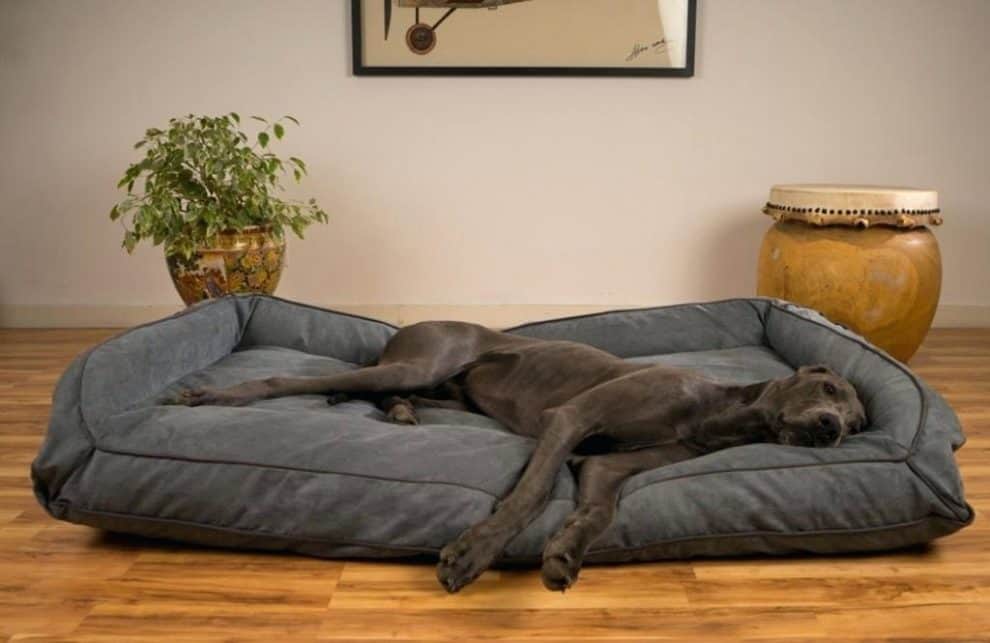 diy big dog bed