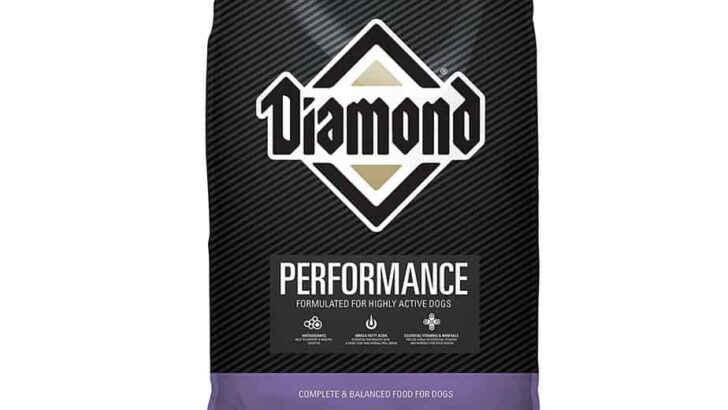 Diamond Performance Formula Dog Food Review & Recall