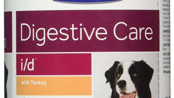 Hill’s Prescription Diet Digestive Care with Turkey Dog Food Review