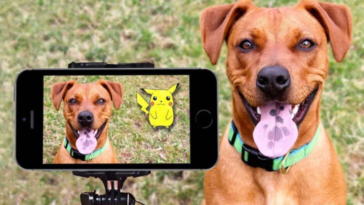 10 Adorable Pokemon Costumes For Your Dog (Including Charmander!)