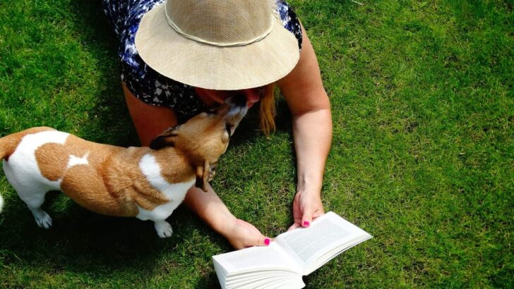 Best Books for Dog Lovers