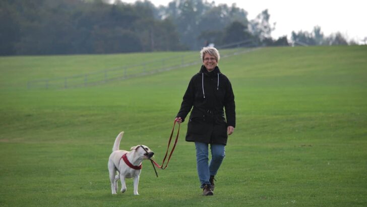 Should You Start a Dog Walking Business?