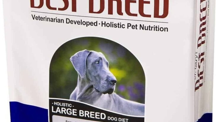 Dr Gary’s Best Breed Dog Food Review (Revew & Recall)