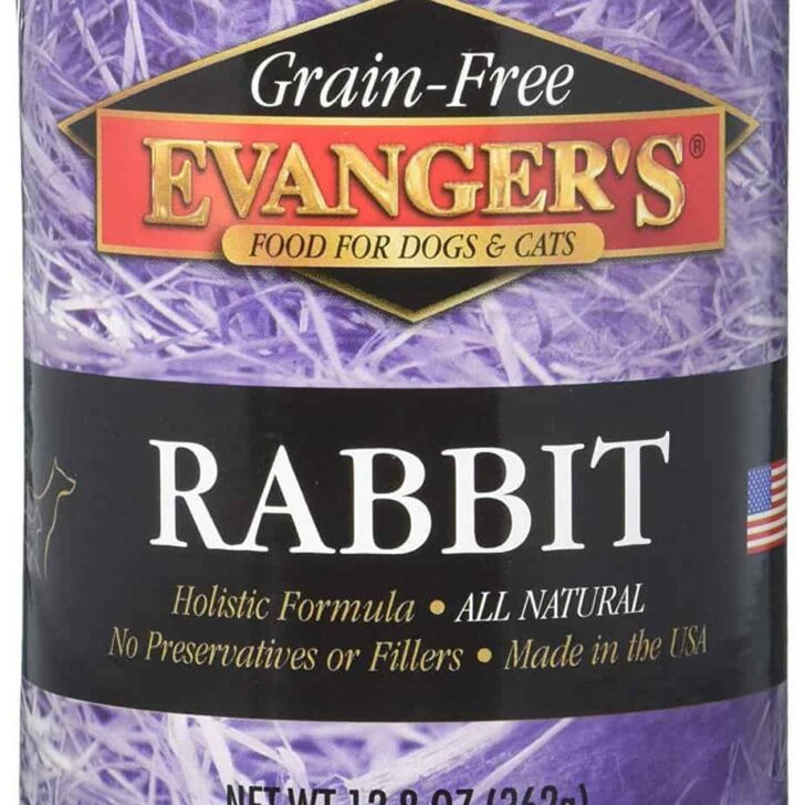 Best Dog Food For Less Poop Buyer's Guide Scout Knows