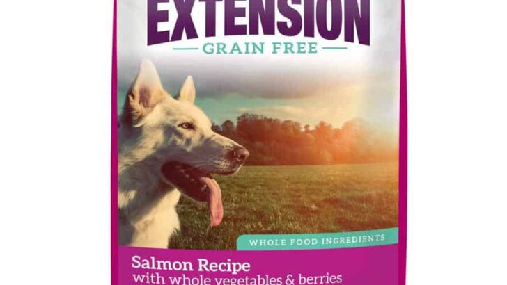 Health Extension Grain-Free Salmon Recipe Dry Dog Food