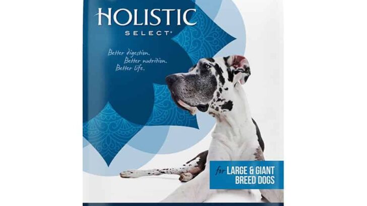 Holistic Select Large & Giant Breed Dry Dog Food Review