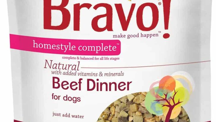 Bravo! Homestyle Beef Grain-Free Freeze-Dried Dog Food Review