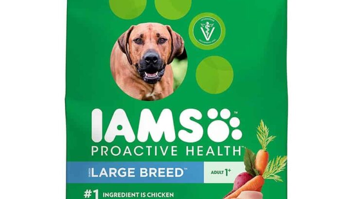 IAMS Proactive Health Large Breed Dry Dog Food Review