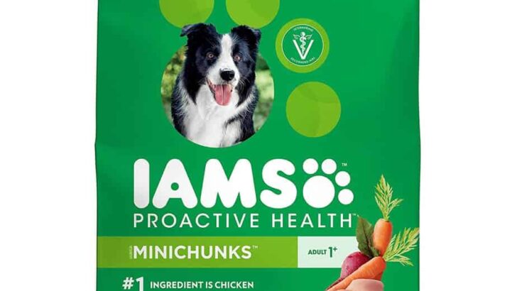 IAMS Proactive Health Mini Chunks Dry Dog Food Review