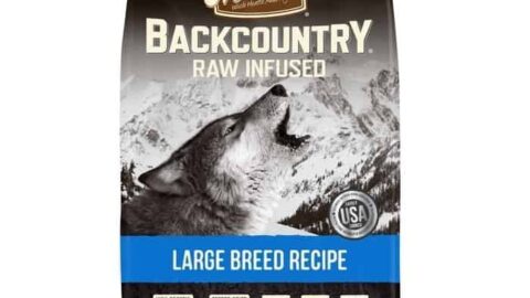 Merrick Backcountry Raw Infused Large Breed Dry Dog Food Review