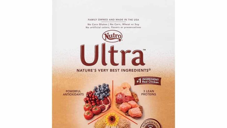 Nutro Wholesome Essentials Large Breed Chicken Dry Dog Food Review