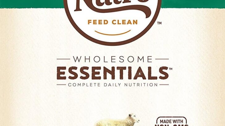 Nutro Wholesome Essentials Large Breed Lamb Dry Dog Food Review