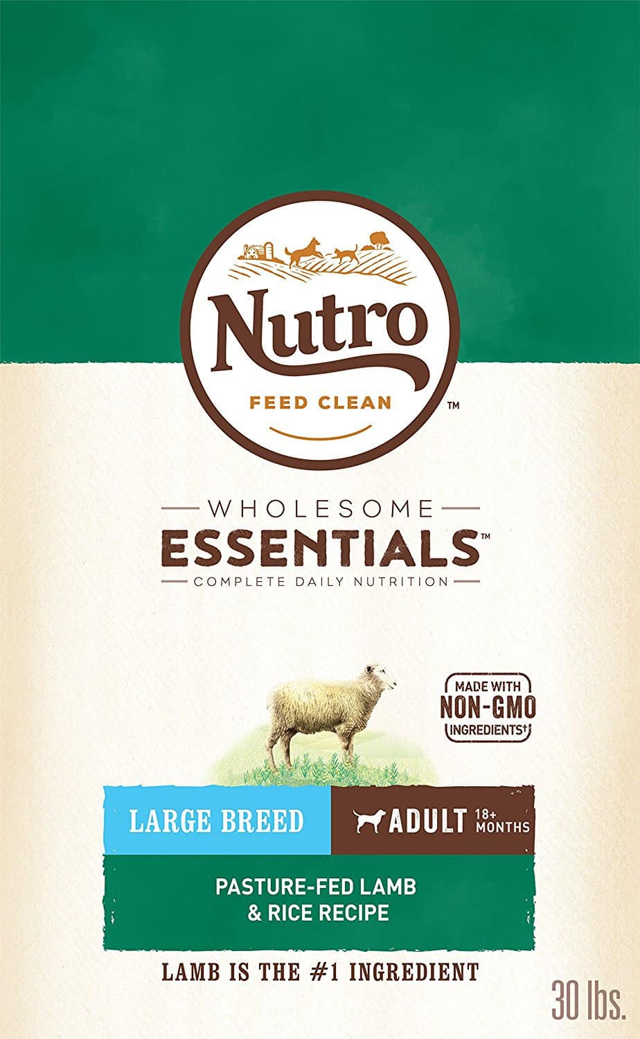 Nutro Wholesome Essentials Large Breed Lamb Dry Dog Food Review Scout