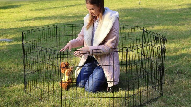 Best Puppy Playpens – 10 Top Picks