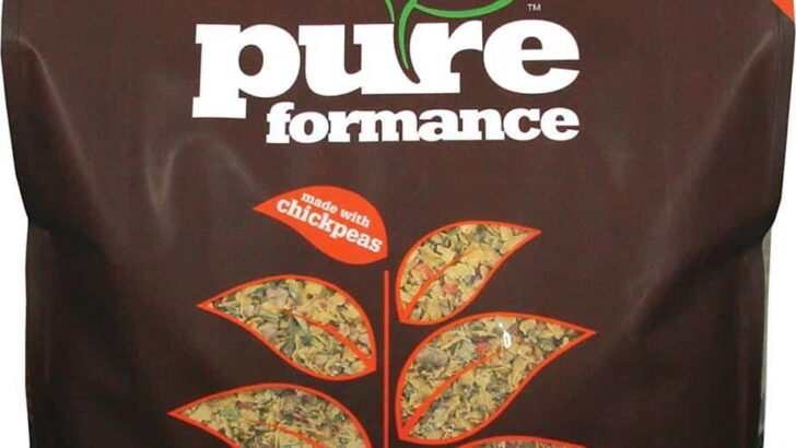 Grandma Lucy’s Pureformance Grain-Free Rabbit Freeze-Dried Dog Food Review