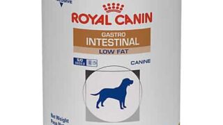 Royal Canin Veterinary Gastrointestinal Low Fat Review