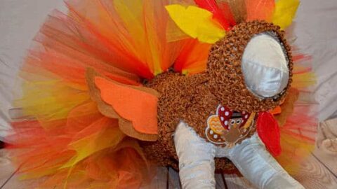 11 Best Thanksgiving Costumes For Your Dog