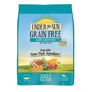 canidae pure land