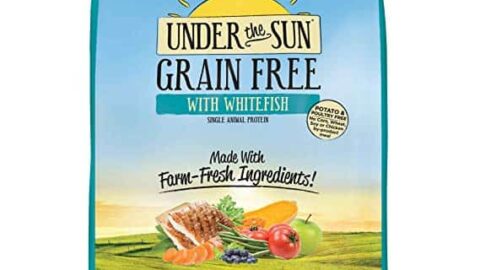 Under the Sun Dry Grain-Free Dry Dog Food Review