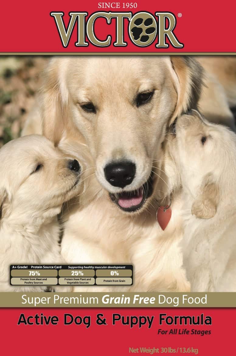a pro dog food review
