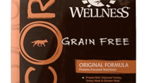 Wellness Core Dog Food Review