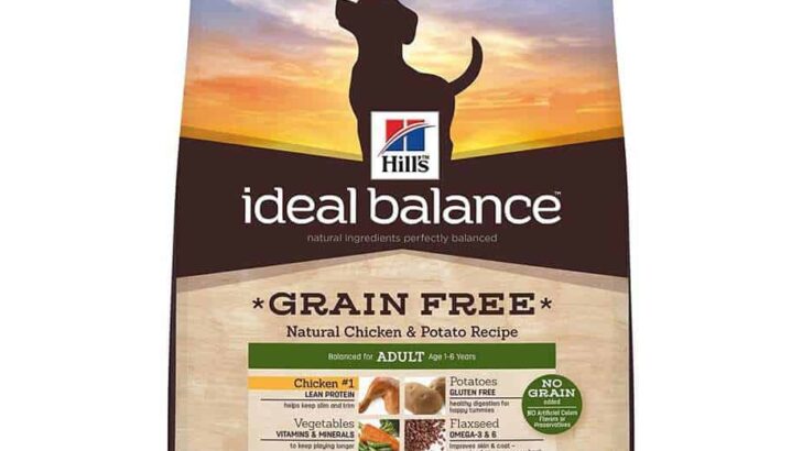 Hill’s Ideal Balance Grain-Free Natural Chicken Adult Dry Dog Food Review