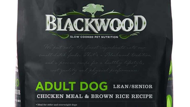 Blackwood Chicken Meal & Rice Recipe Lean Diet Adult Dry Dog Food Review