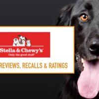 Stella & Chewy's Review