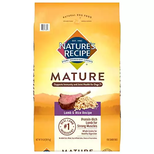 Cheaper Alternative To Blue Buffalo Dog Food Cheaper Alternative to Blue Buffalo Dog Food | Scout Knows