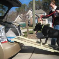 Best Dog Ramp (Note: Will Link To Article 'Best Dog Steps And Stairs'