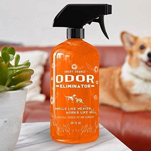 Angry Orange Pet Odor Eliminator Review