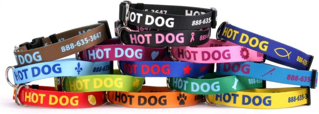 Personalized Dog Collar with Custom Text and Art by Yellow Dog Design