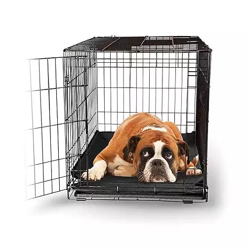 Best Dog Crate Trays, Pans and Alternatives (Reviews & Buyers's Guide)