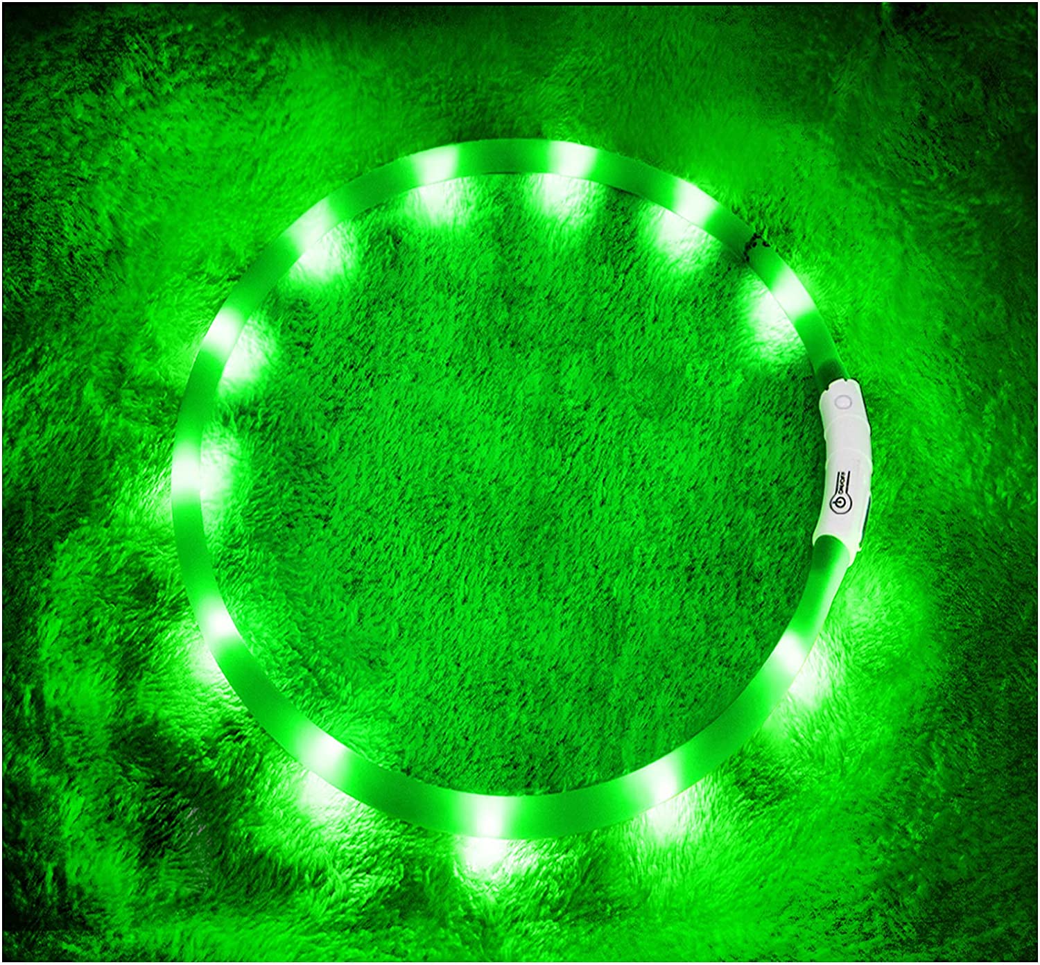 Best Dry Shampoo for Dogs Guide Scout Knows