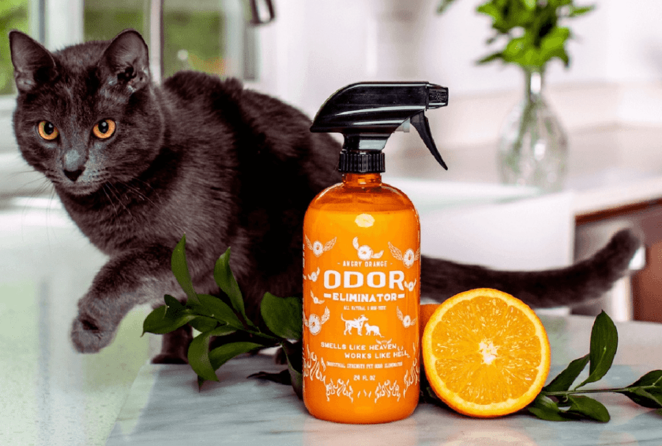 Cat and Angry Orange Pet Odor Eliminator