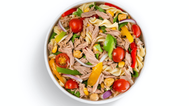 Best Diabetic Dog Food Homemade