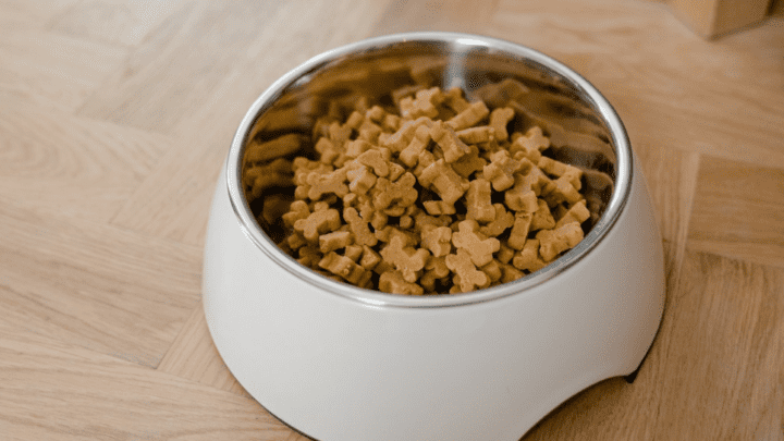 Top 5 Rated Best Dog Foods For Yeast Infections
