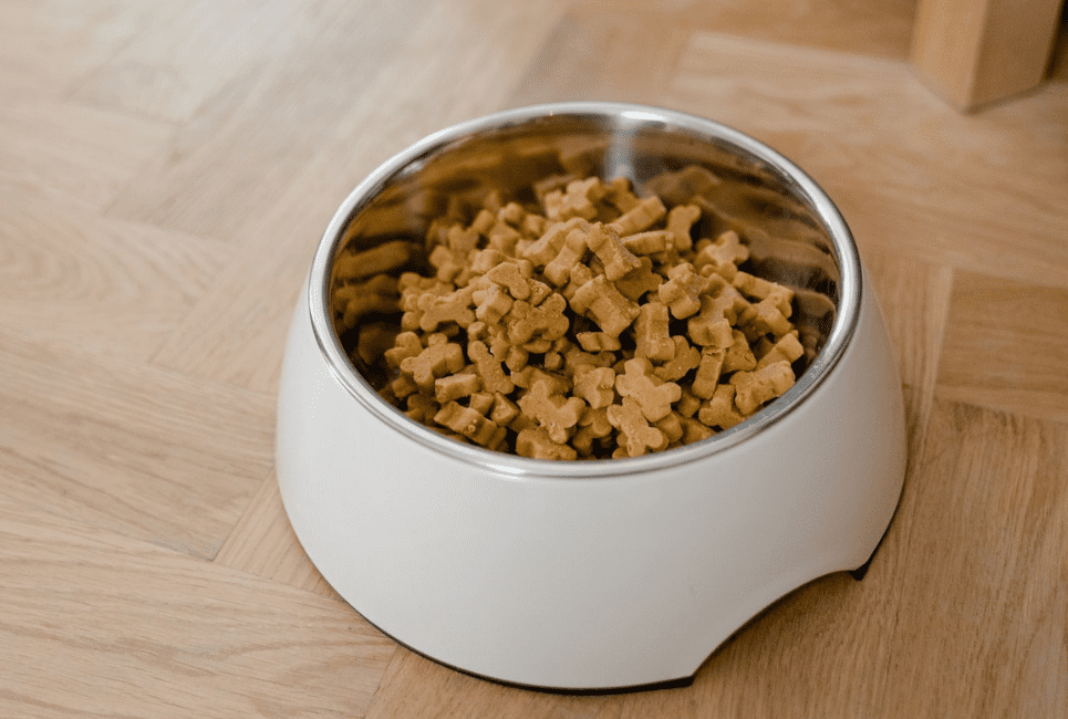 What Is The Best Food For Dogs With Yeast Infection